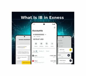Exness 中的 IB 是什麼？