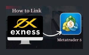 如何將 Exness 帳戶與 MetaTrader 5 關聯