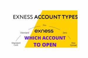 Exness 中哪一種帳戶類型最好